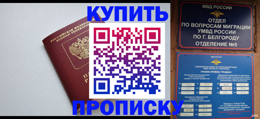 прописка регистрация в Тайшете